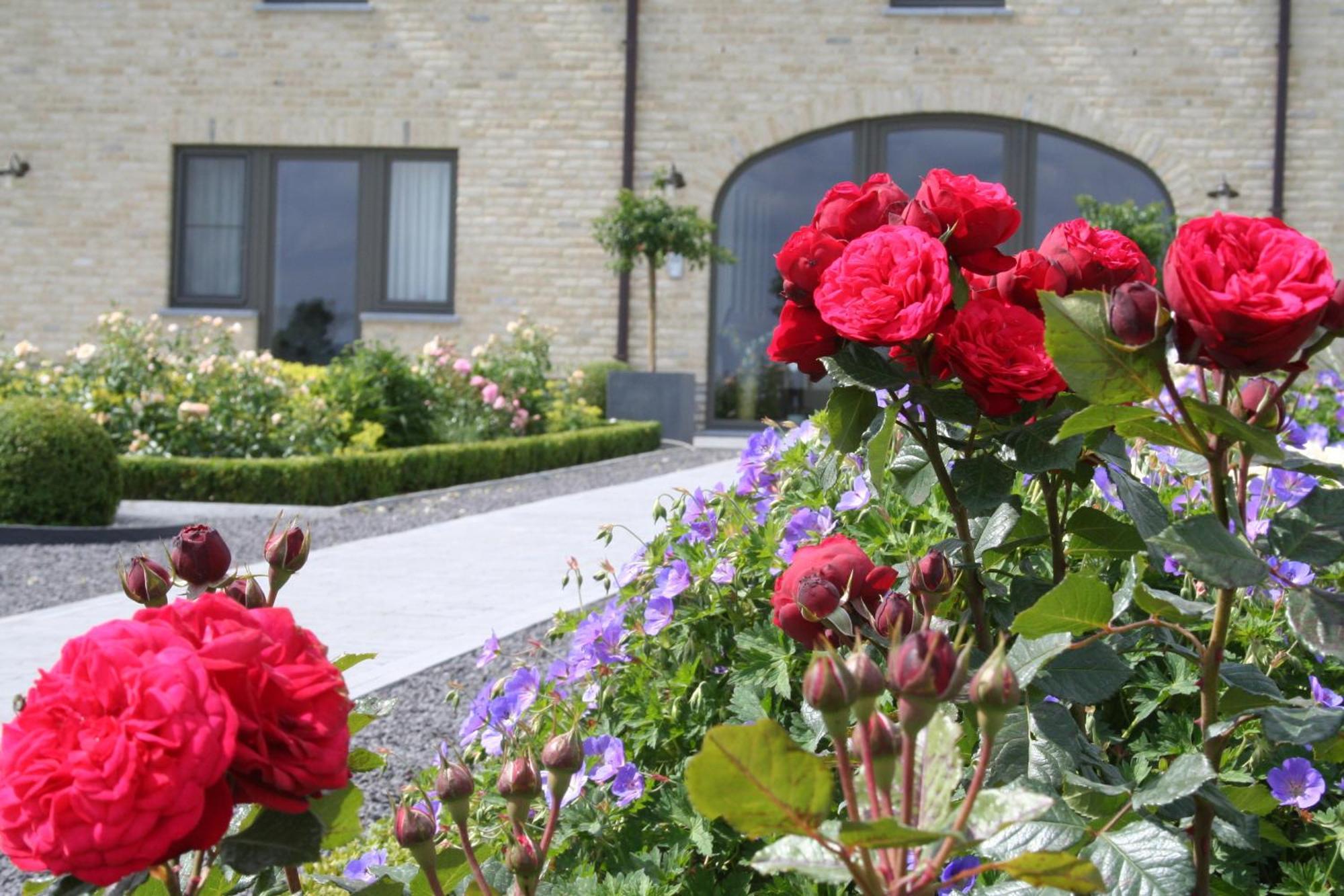 B&B La Vie En Roses Moorsel Bagian luar foto