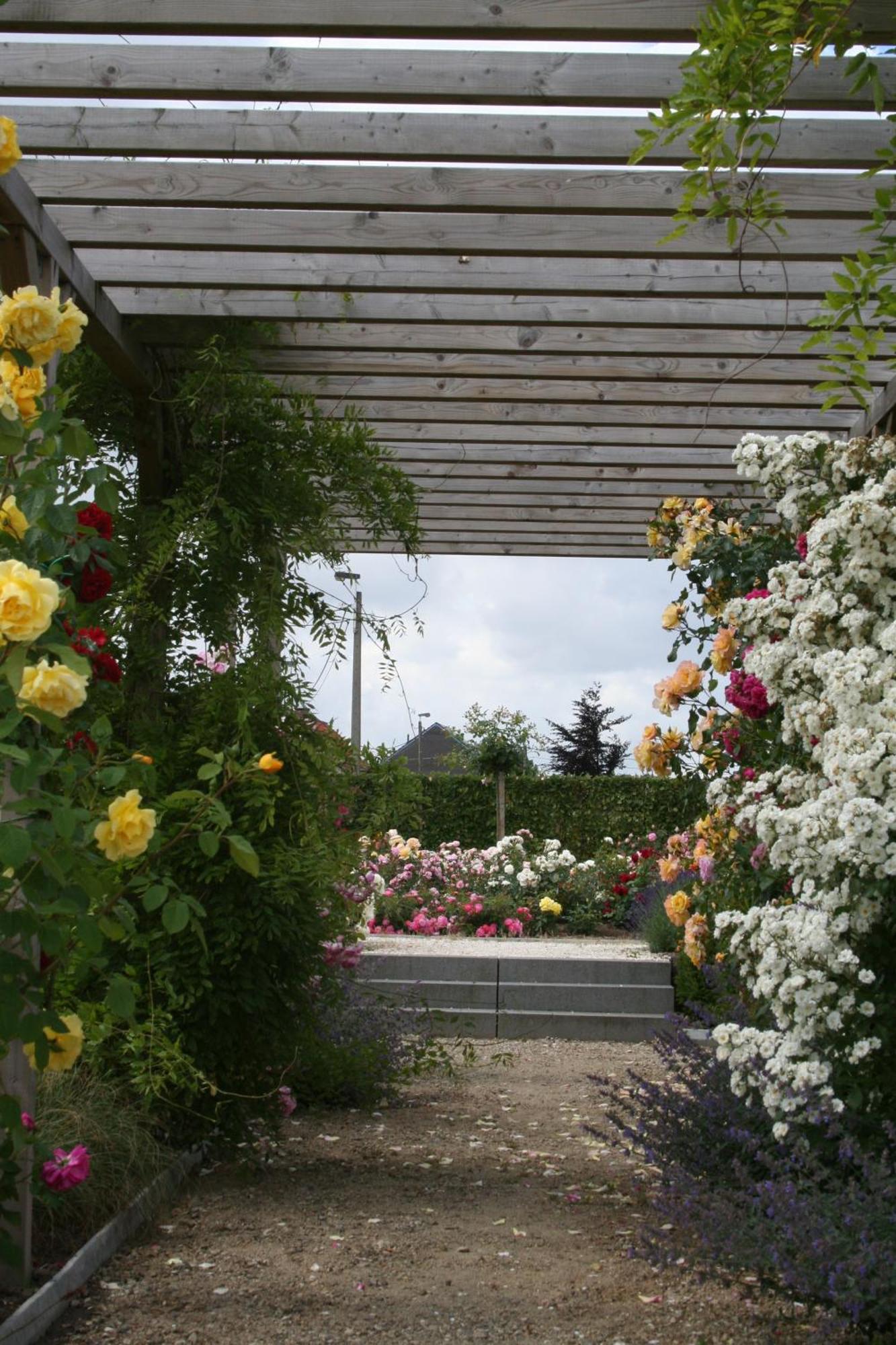 B&B La Vie En Roses Moorsel Bagian luar foto