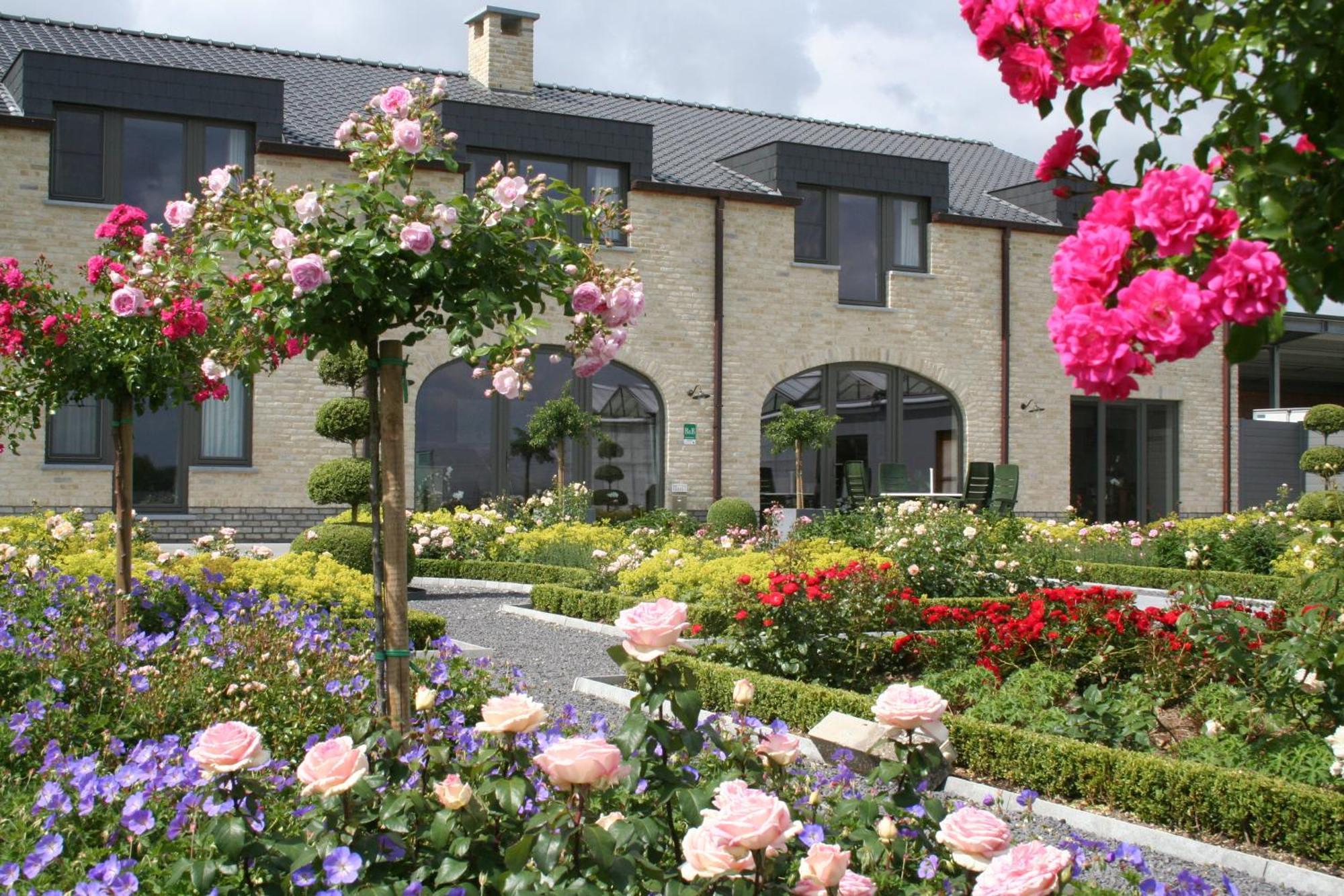 B&B La Vie En Roses Moorsel Bagian luar foto