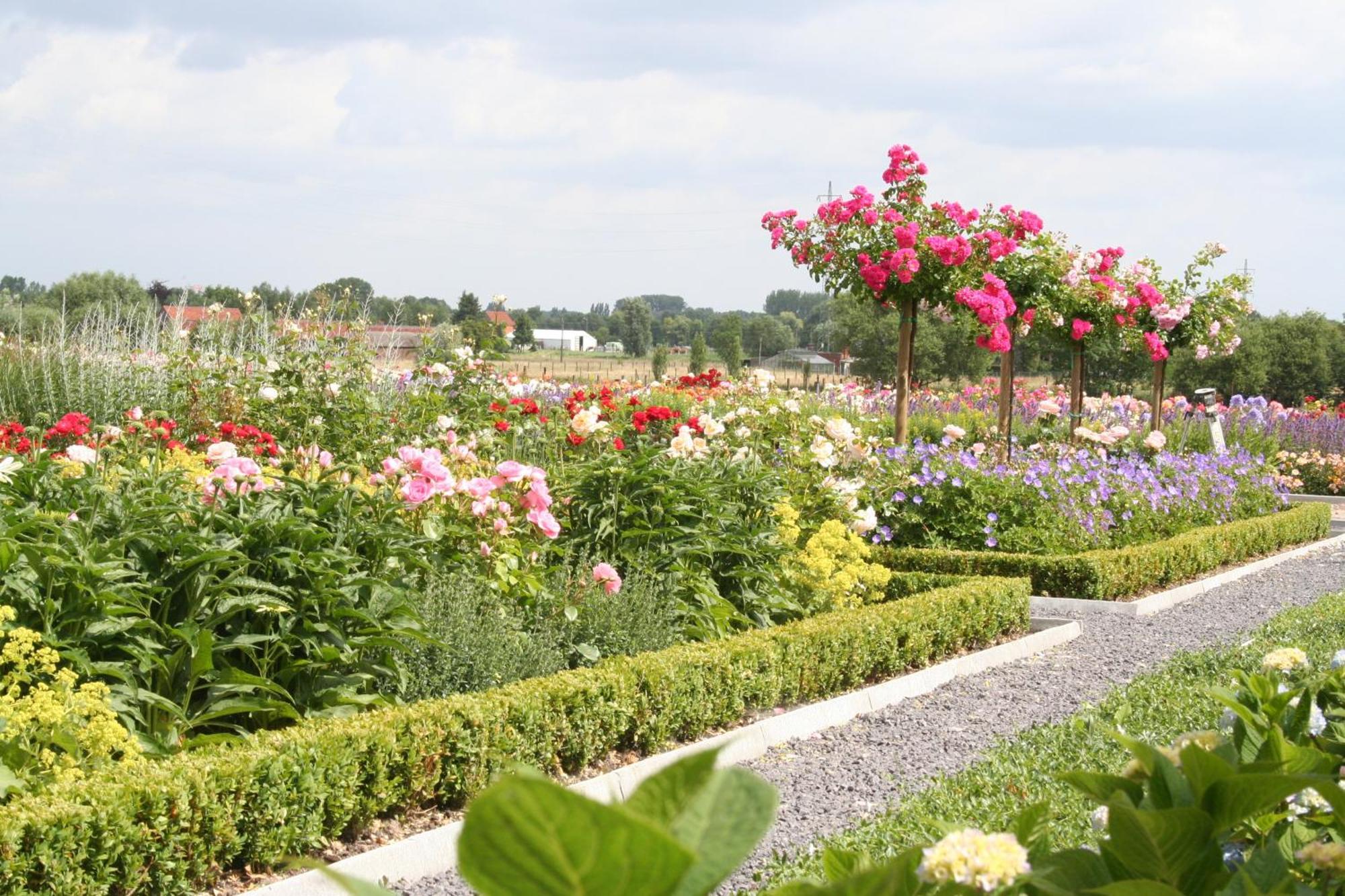 B&B La Vie En Roses Moorsel Bagian luar foto
