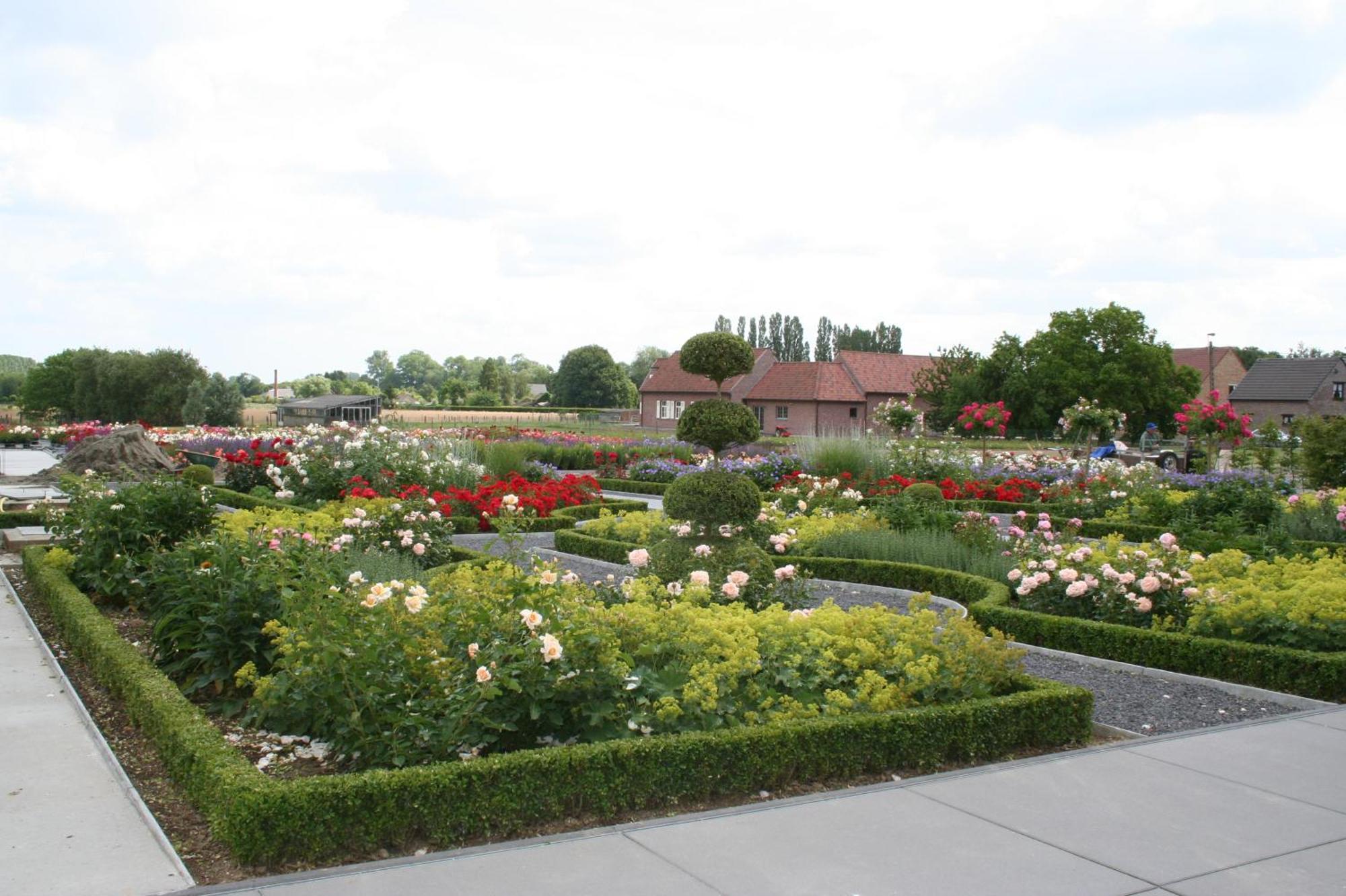 B&B La Vie En Roses Moorsel Bagian luar foto