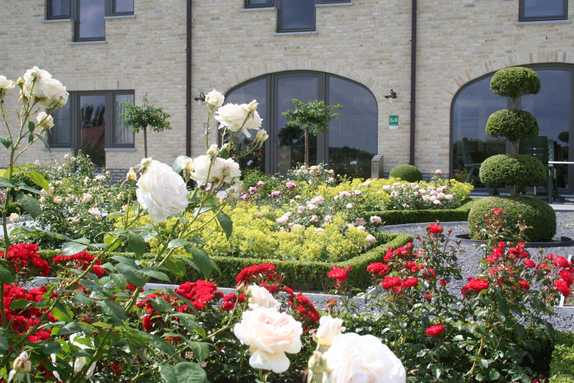 B&B La Vie En Roses Moorsel Bagian luar foto
