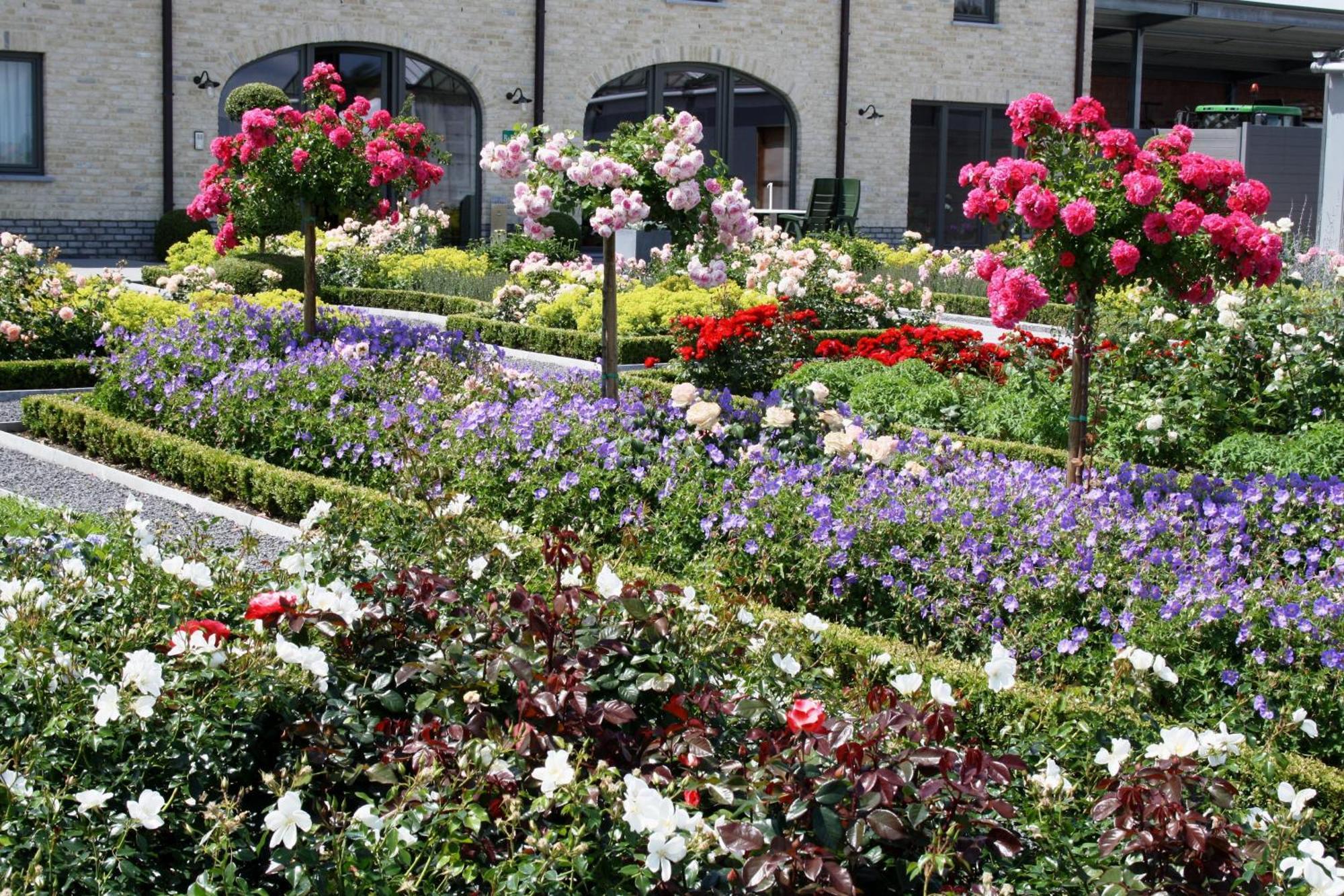 B&B La Vie En Roses Moorsel Bagian luar foto